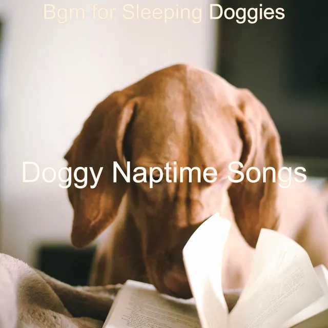 Bgm for Sleeping Doggies