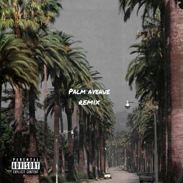 PALM AVENUE - Remix