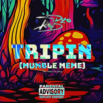 TRIPIN ( Mumble Meme ) by DIAB LO