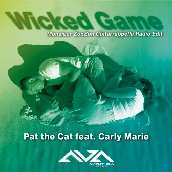 Wicked Game (Monsieur ZonZon Guitarrappella Radio Edit) by 