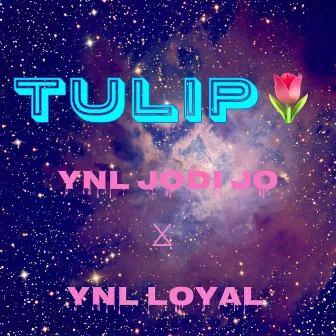 Tulip by Ynl Loyal