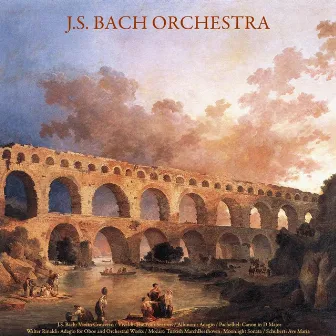 J.S. Bach: Violin Concerto - Vivaldi: the Four Seasons - Albinoni: Adagio - Pachelbel: Canon in D Major - Walter Rinaldi: Adagio for Oboe; Orchestral Works - Mozart: Turkish March - Beethoven: Moonlight Sonata - Schubert: Ave Maria - Vol. IX by J.S. Bach Orchestra & Walter Rinaldi