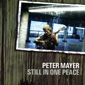 Still in One Peace by Peter Mayer