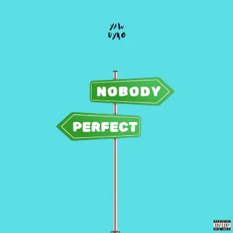 Nobody Perfect by Yaw Dyro