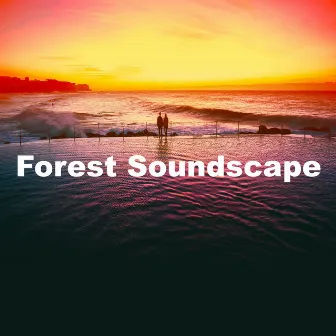 Forest Soundscape by The Sound Of The Jungle