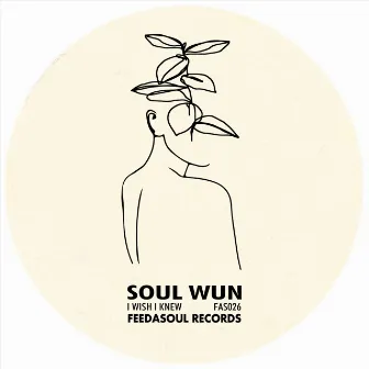 I Wish I Knew by Soul Wun