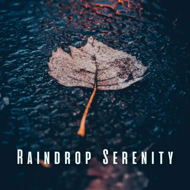 Raindrop Serenity: White Noise and Rain for Yoga Flow