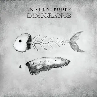 Immigrance by Snarky Puppy