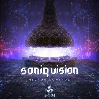 Neuron Control by Soniq Vision