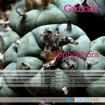 Lophophora by Grinder