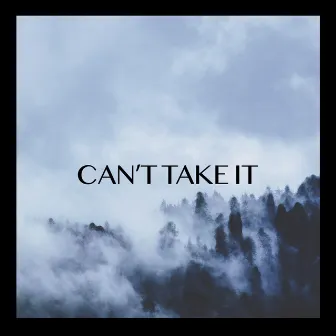 Can't Take It by Deeps