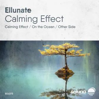 Calming Effect by Ellunate