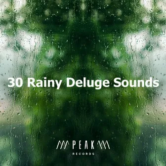 30 Rainy Deluge Sounds by Rain Sleep