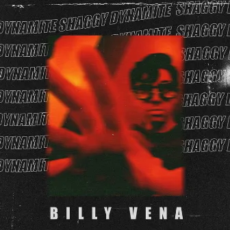 Shaggy Dynamite by Billy Vena