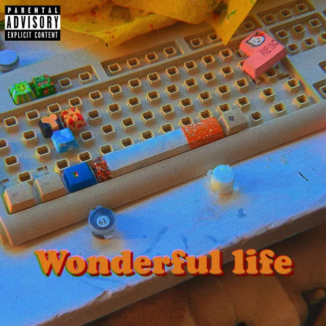 Wonderful Life