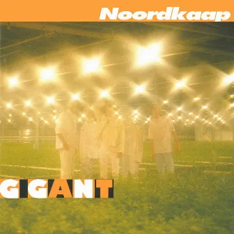 Gigant by Noordkaap