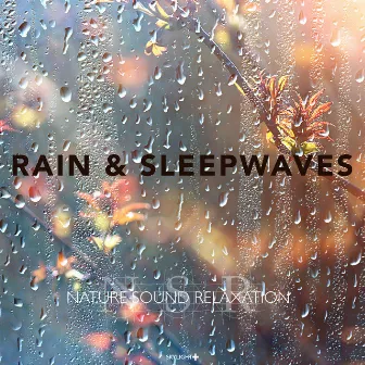 Rain & Sleepwaves (Continuous Mix) by Nature Sound Relaxation