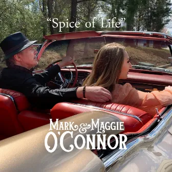 Spice of Life by Maggie O'Connor