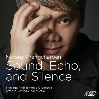 Sound, Echo, and Silence by Narong Prangcharoen