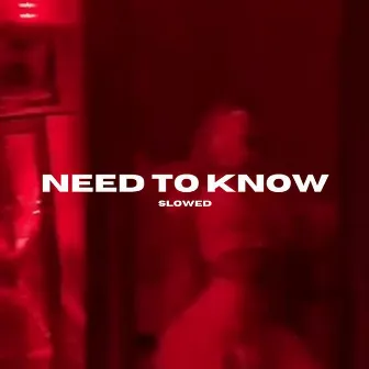 Need To Know - Slowed And Reverb by Levis Remix