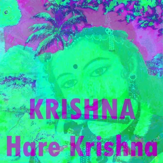 Krishna Hare Krishna by Unknown Artist