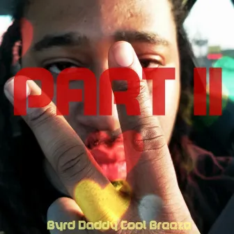 Part II by Byrd Daddy Cool Breeze