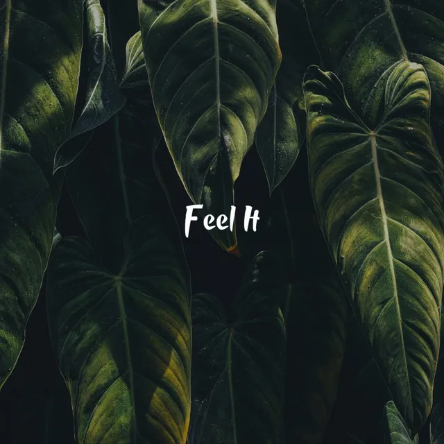 Feel It