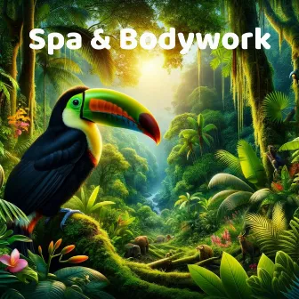 Spa & Bodywork: Revitalization Frequencies, Peaceful Wellness Oasis with Nature Sounds by Asian Flute Music Oasis