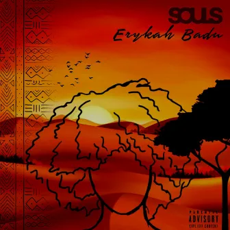 Erykah Badu by Souls