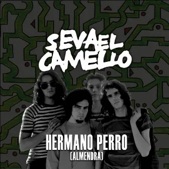 Hermano Perro (Cover) by Se Va el Camello