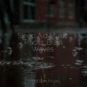 Sleep Aid Music Tracks: Brain Waves by Rainforest