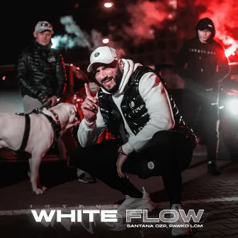 White Flow by Pawko LCM