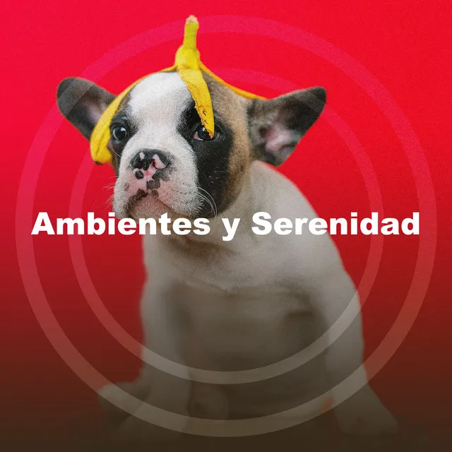 Ambientes y Serenidad