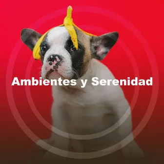 Ambientes y Serenidad by Serenidad Academy