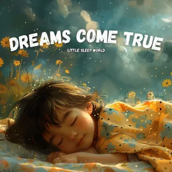 Dreams Come True by Little Sleep World