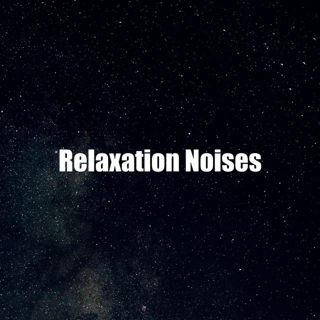 Relaxation Noises