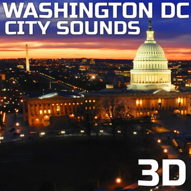 Washington DC City White Noise 3D