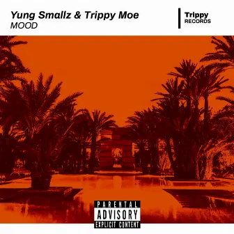 Mood by Yung Smallz