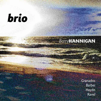 Brio by Barry Hannigan