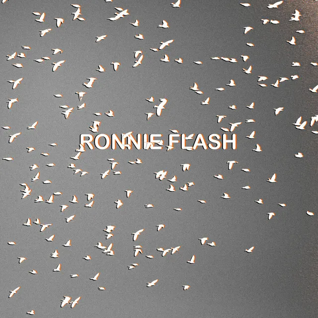 Ronnie Flash