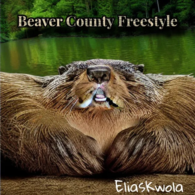 Beaver County Freestyle