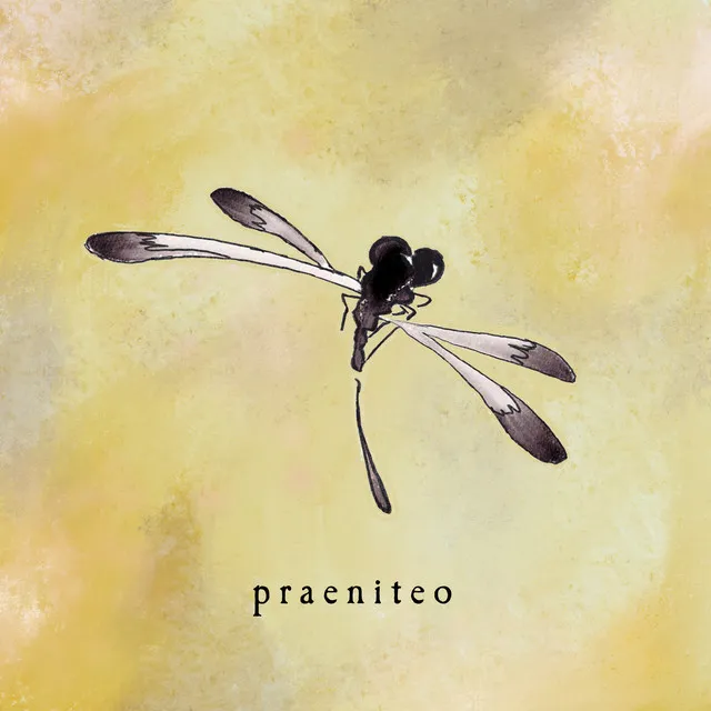 Praeniteo