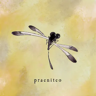 Praeniteo by Chasing The Eclipse