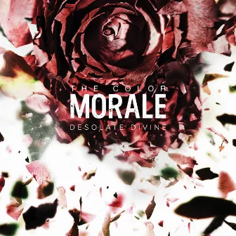 Desolate Divine by The Color Morale