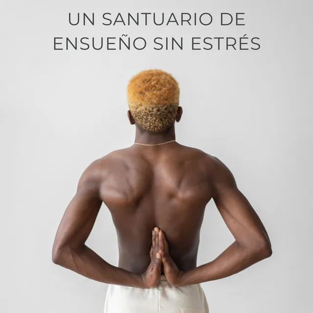 Un Santuario De Ensueño Sin Estrés