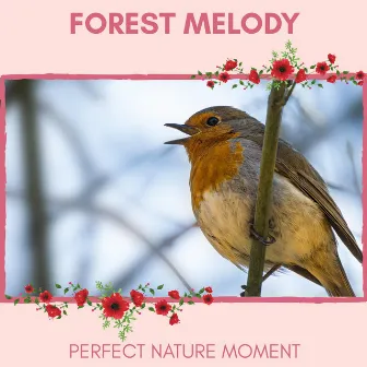 Forest Melody - Perfect Nature Moment by Nature Radiance Project