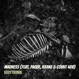 Madness by Godytronik