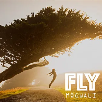 Fly - Single by Mogwali