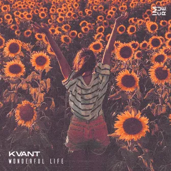 Wonderful Life by Kvant