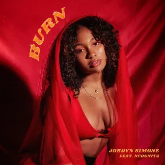 Burn (feat. Ncognita) by Jordyn Simone